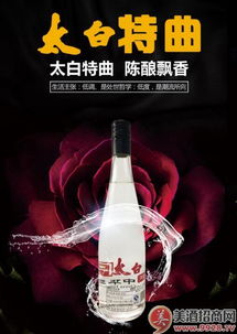 陜西桂圓商貿有哪些產品招商